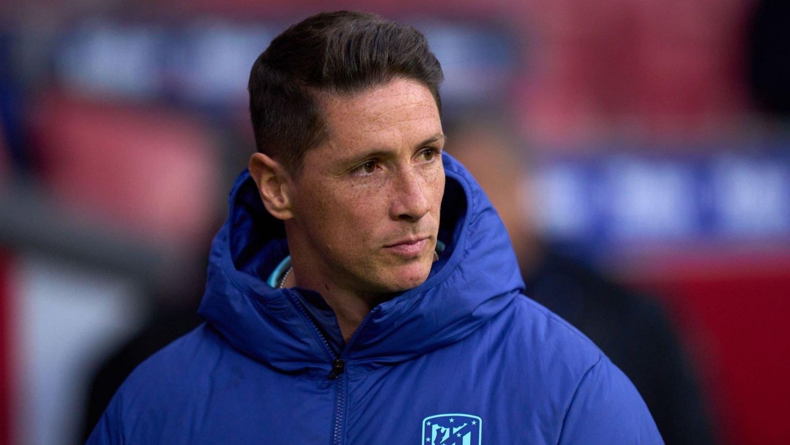 Fernando Torres