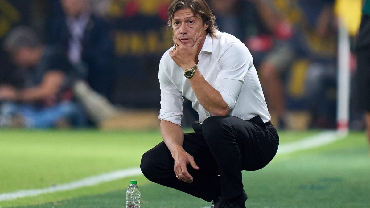 Matías Almeyda during a match
