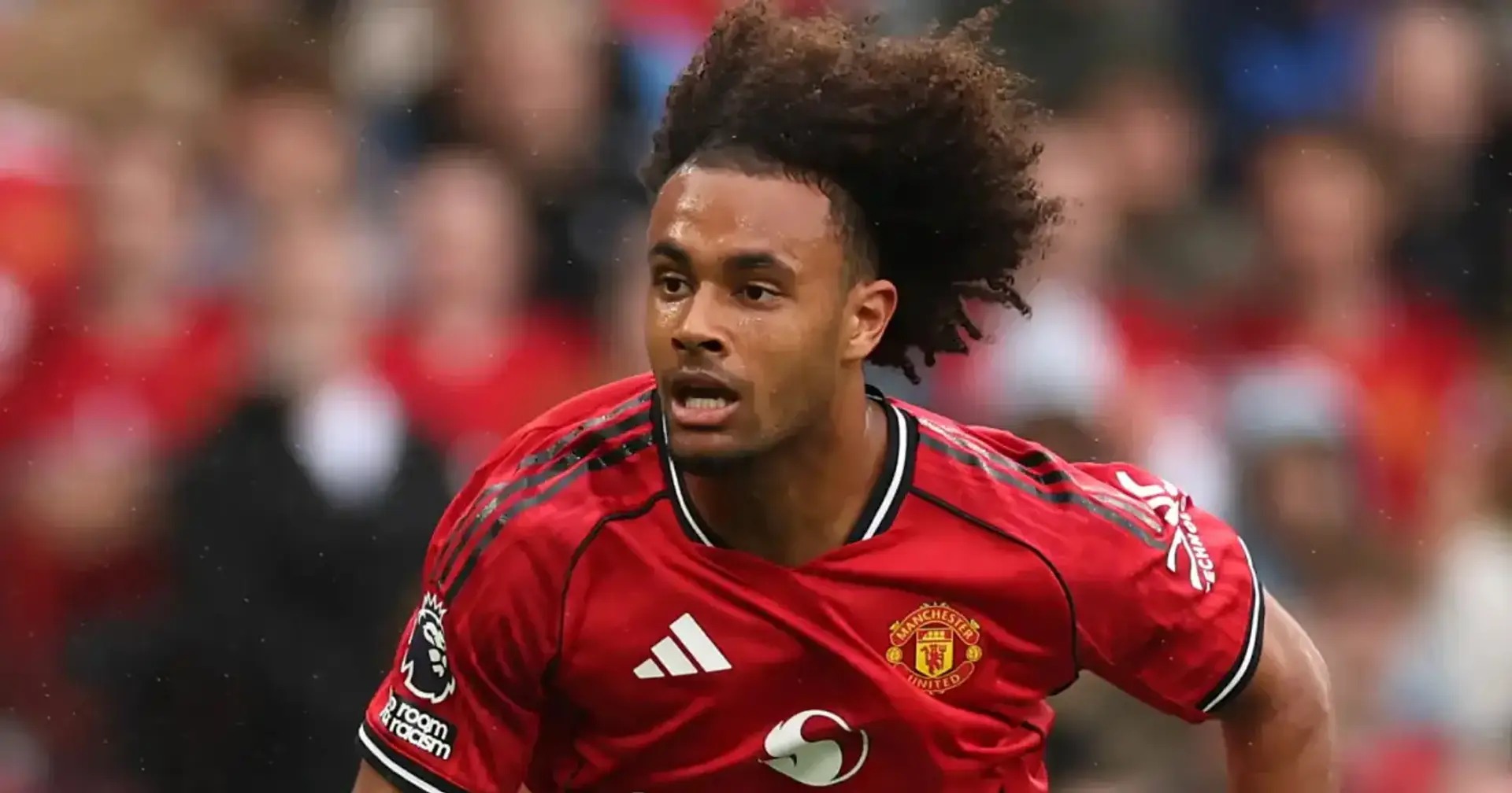 Sevilla prepares offensive for Joshua Zirkzee