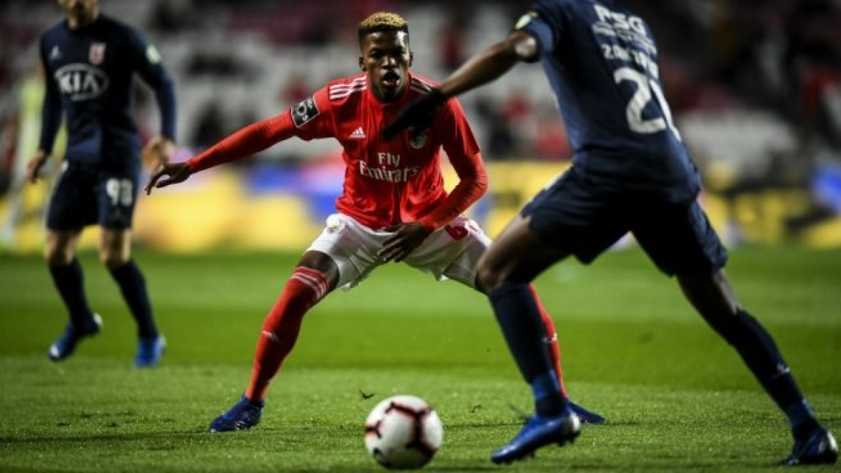 Florentino Luis, el verdadero nuevo Casemiro | FOTO: BENFICA