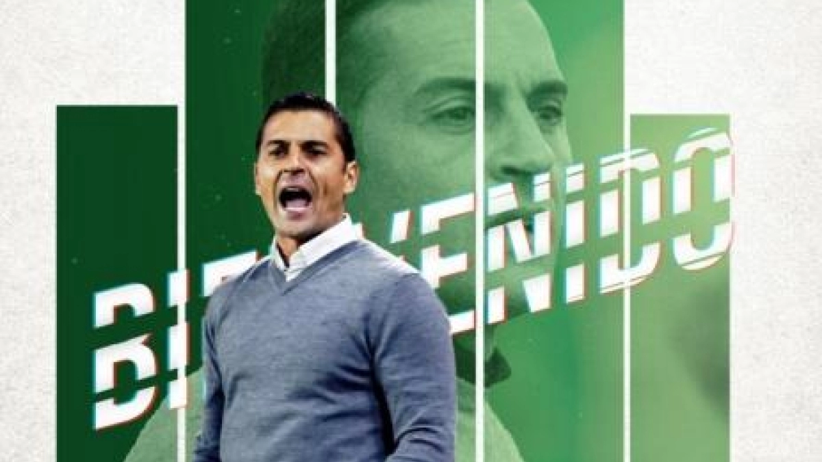 OFICIAL: Francisco, nuevo entrenador del Elche . Foto: Teleelx