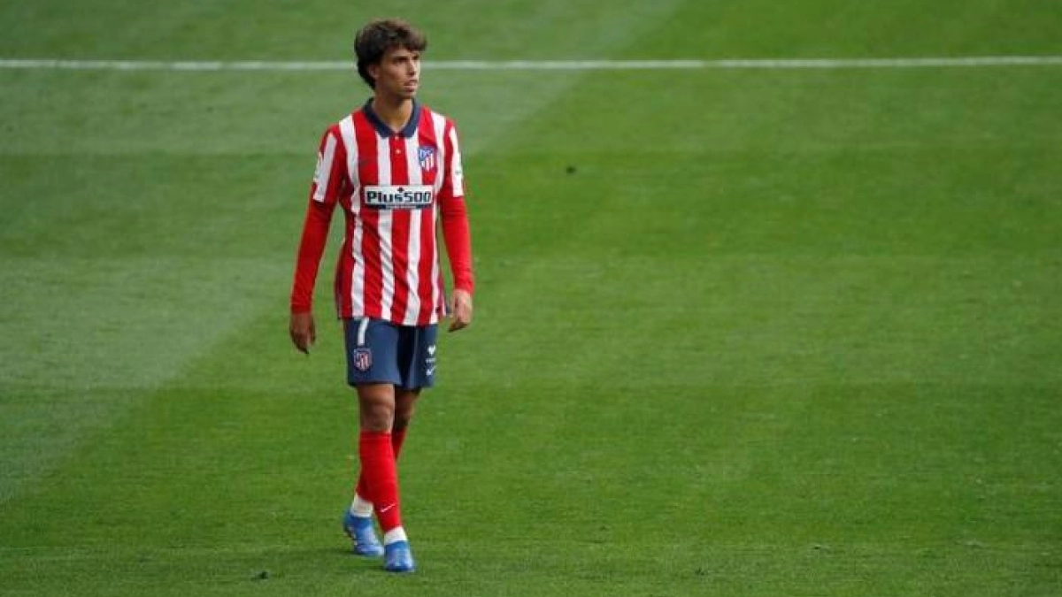 Ecosistema João Félix. Foto: amazon.es