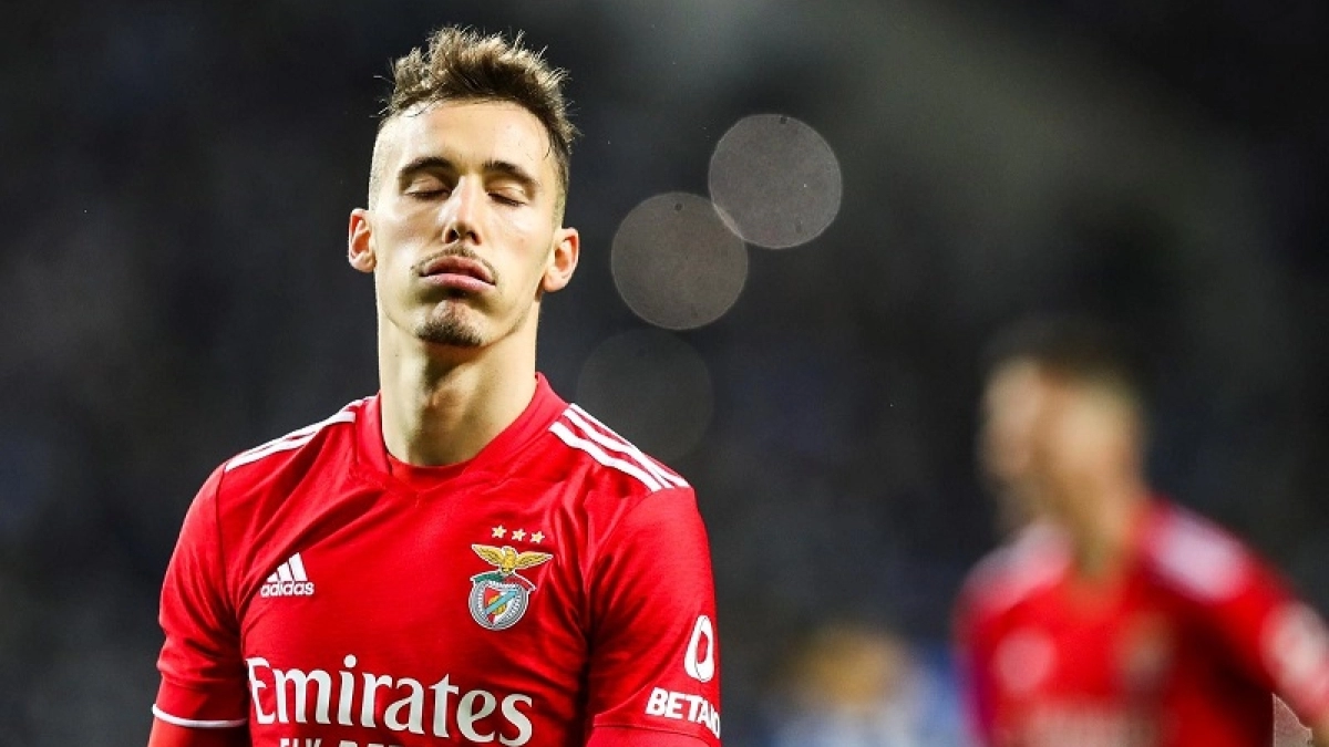 El Benfica estalla contra Gimaldo / Besoccer.com