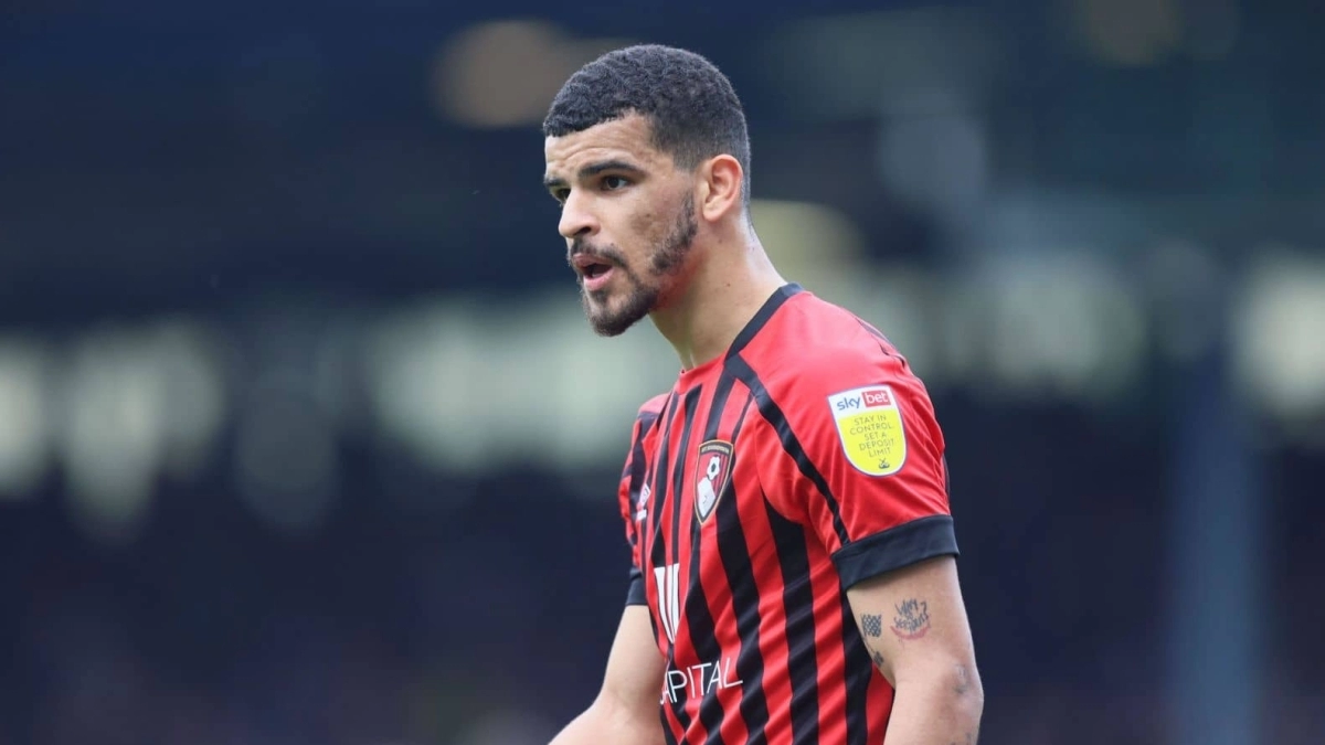Rechazadas dos ofertas por Dominic Solanke / Teamtalk.com