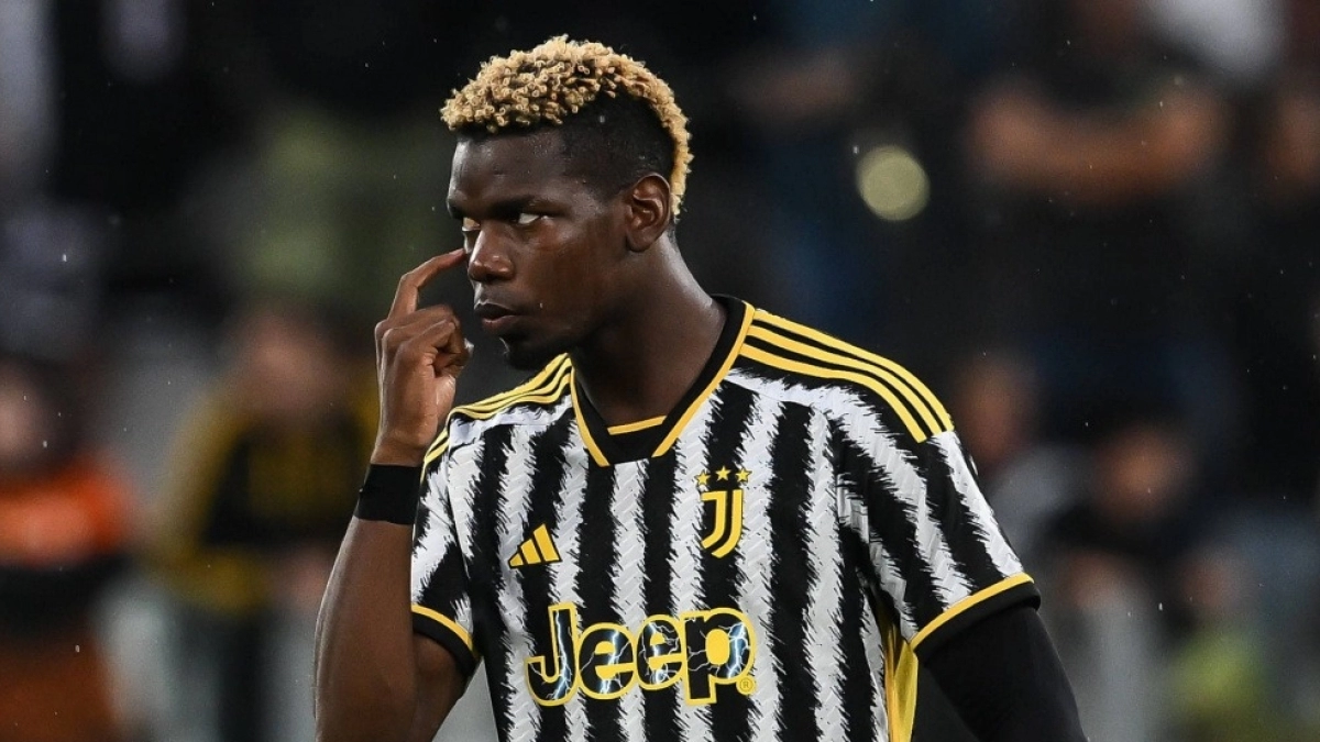 Olympique de Marseille wants to sign Pogba / Transfermarkt