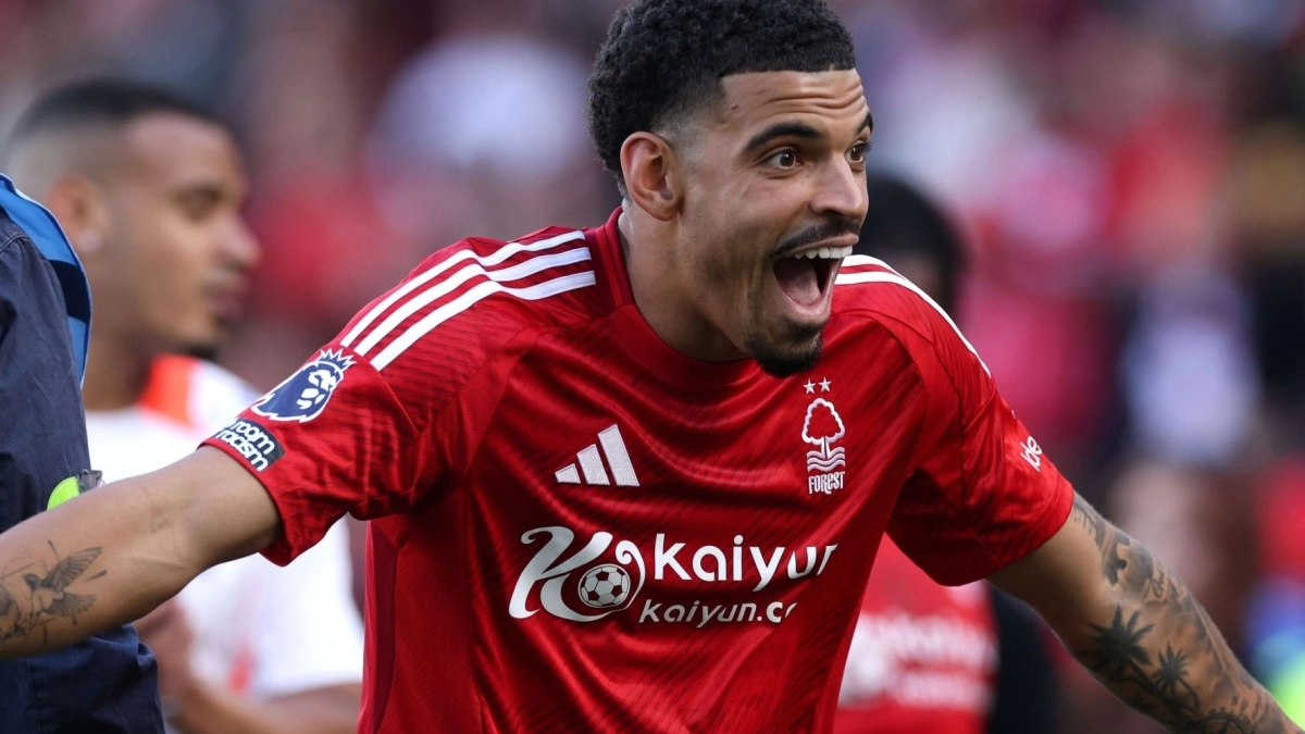 Tottenham will go back for Morgan Gibbs-White