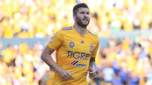 "OFICIAL: Gignac renueva con Tigres./ Foto: MARCA"