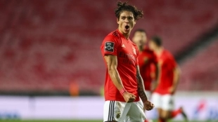 Los 3 equipos que pujan por Darwin Nuñez - Foto: Diario AS