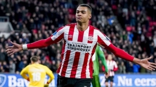 El Bayern se lanza a por Gakpo - Foto: News in 24