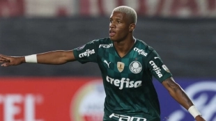 El 'pulpo' del Palmeiras por el que se pelea media Europa