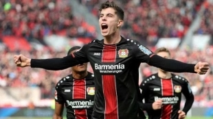 El Liverpool quiere robarle a Havertz al Bayern Munich / Besoccer.com