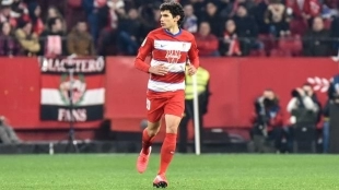 El Real Madrid está dispuesto a vender a Jesús Vallejo / Ideal.es