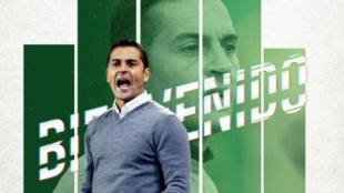 OFICIAL: Francisco, nuevo entrenador del Elche . Foto: Teleelx