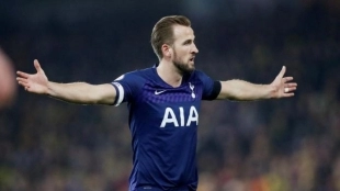 Harry Kane sólo quiere jugar en el Manchester City / Beinsports.com