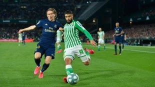 Fichajes Real Madrid: El cuadro blanco quiere intercambiar a Ceballos por Fekir. Foto: ElDesmarque