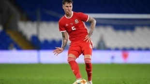 ¿Cómo juega Joe Rodon, nuevo fichaje del Tottenham?