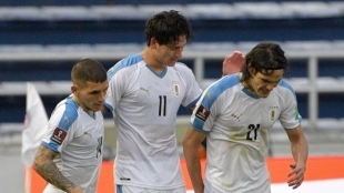 El Manchester City se fija en Darwin Núñez. Foto: Marca