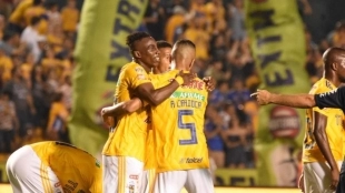 FOTO: TIGRES