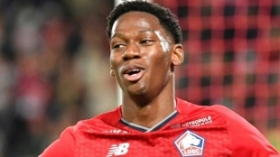 Los dos clubes de la Premier que sueñan con Jonathan David / Besoccer.com