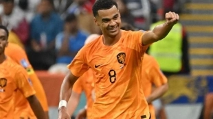 El Manchester lanza su primera oferta por Gakpo y el PSV pide más