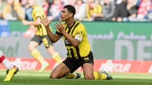 Los red quieren hacerse con Bellingham en invierno. Foto: @BVB