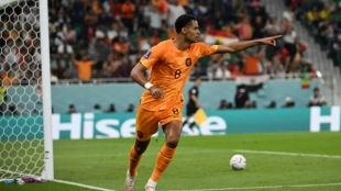 El precio que el Manchester pagará por Cody Gakpo - Foto: Gol Caracol