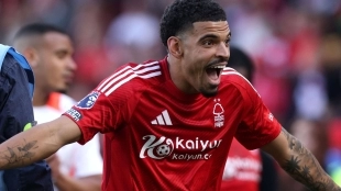 Tottenham will go back for Morgan Gibbs-White