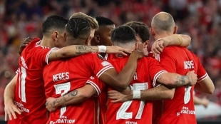 The Benfica players celebrate a goal