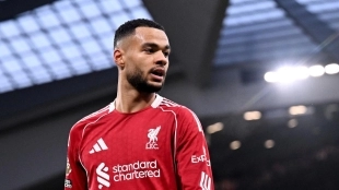 Atletico Madrid wants to sign Cody Gakpo!