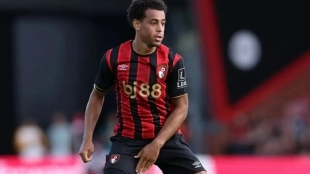 Liverpool goes after Tyler Adams' signing