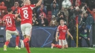 <p>The Benfica players celebrate a goal in the Champions League</p>